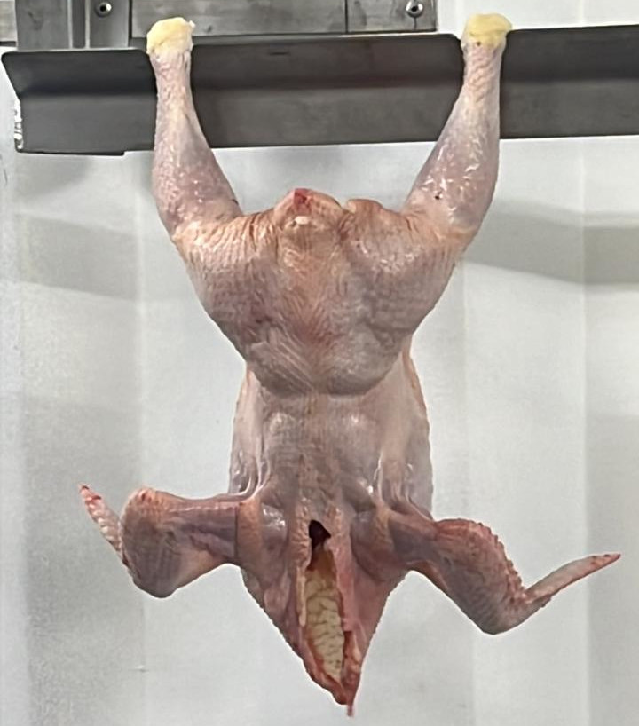 Chicken Slaughtering Service
